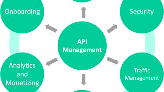 Why we need a Healthy API Management Solution?